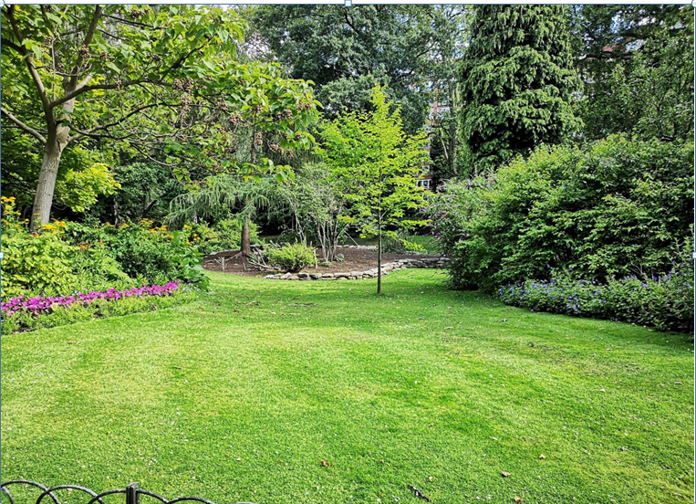 Was tun, wenn Ihr Garten nach einer schwierigen Zeit Schäden aufweist?